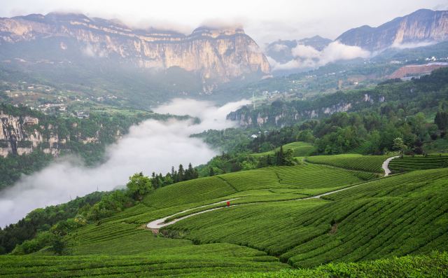 风景图